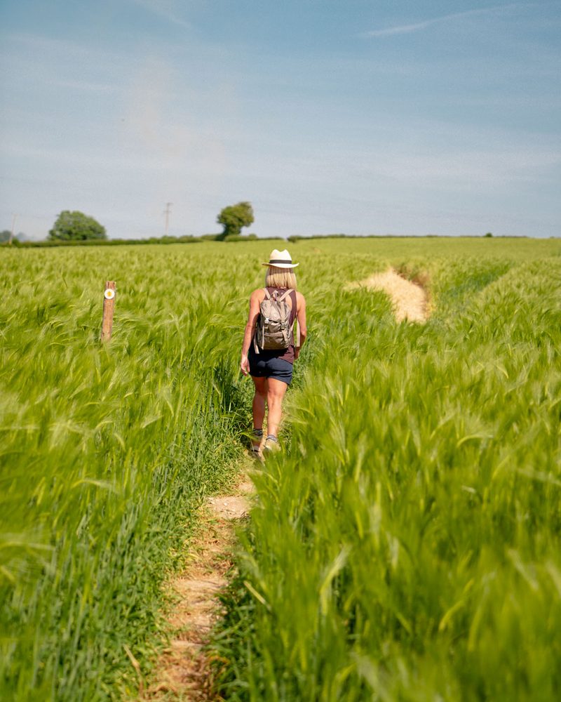 Alexia walking along a footpath through a field of barley